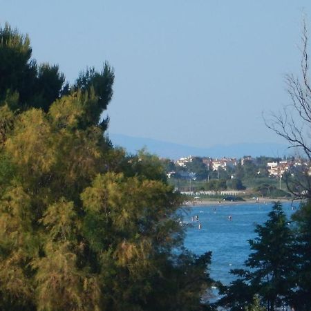 ארטמידה Aegean Sea Apartments מראה חיצוני תמונה
