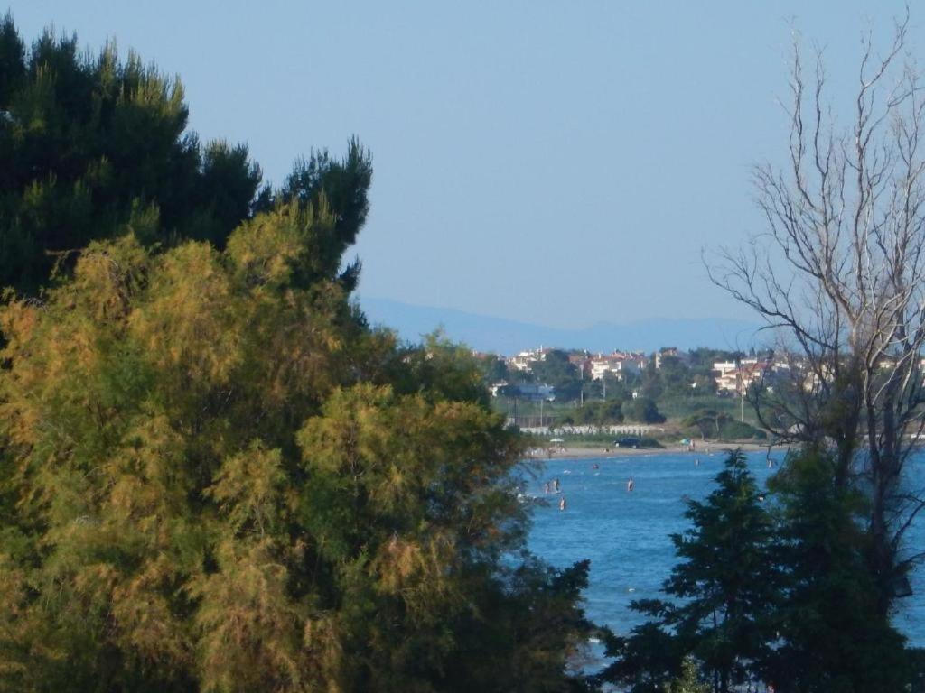 ארטמידה Aegean Sea Apartments מראה חיצוני תמונה